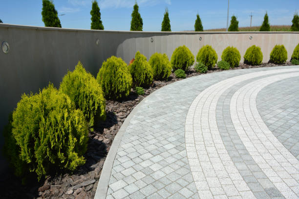 Best Driveway Repair Near Me  in Oskaloosa, IA